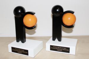 trofeos personalizados de resina